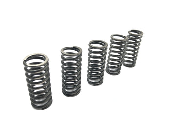 Suzuki RM Z 250 RJ41A [2007] - Juego de muelles de embrague muelles de presión de embrague