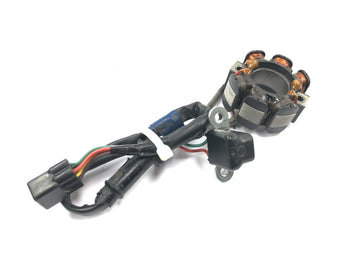 Suzuki RM Z 250 RJ41A [2007] - Alternador de recogida de bobina de encendido del generador del estator - 0