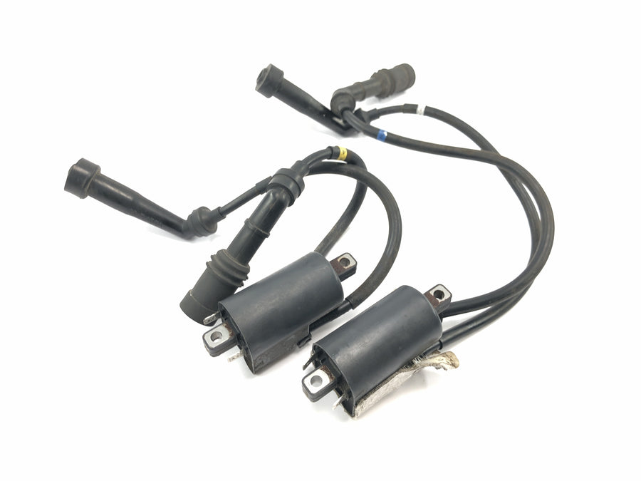 Yamaha XV 1600 Wild Star VP08 [2002] - Par de bobinas de encendido bobina de encendido cable de encendido sistema de encendido