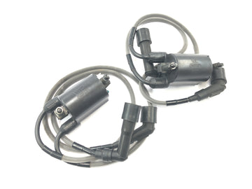 Kawasaki VN 1600 Classic VNT60A [2007] - Bobina de encendido bobinas de encendido cable de encendido cable de encendido