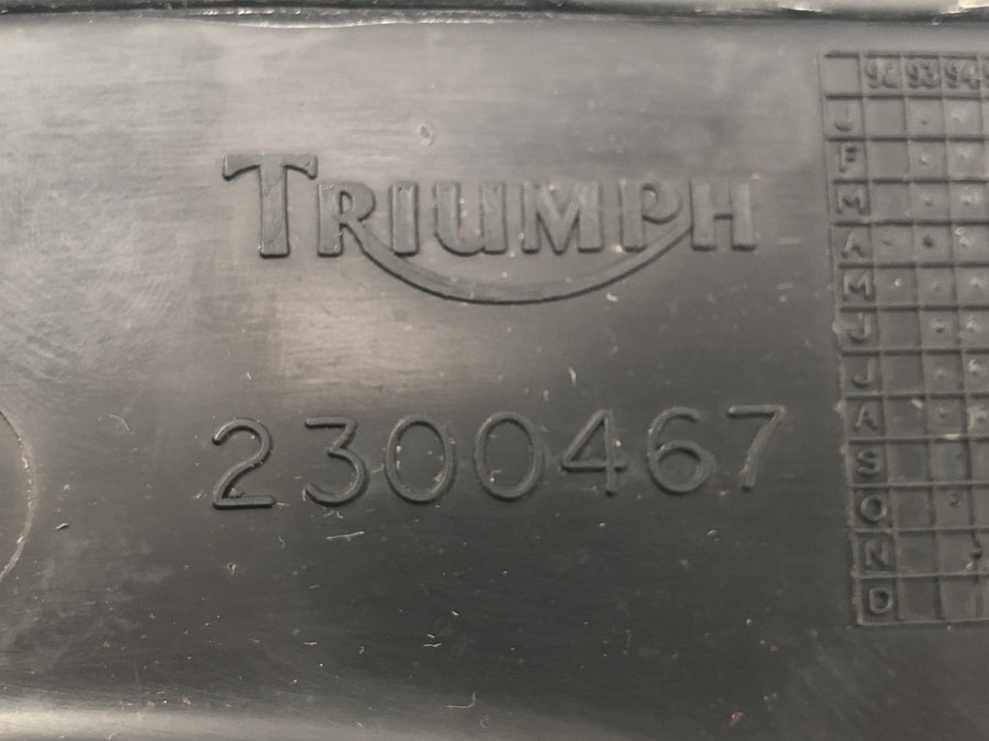 Triumph Daytona 900 T300D [1996] - Panel interior de la cubierta del habitáculo en la parte delantera