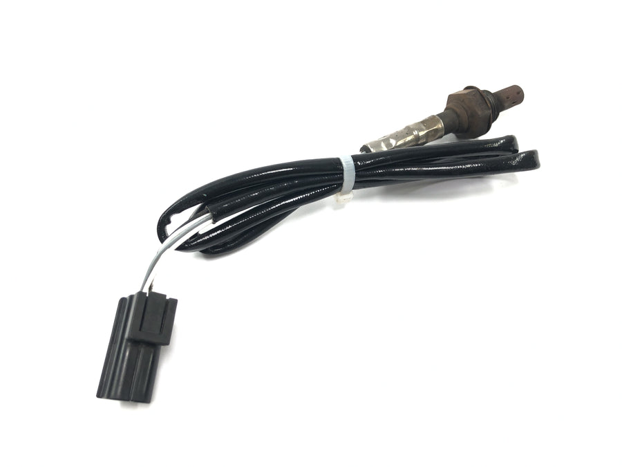 Triumph Tiger 955i 709EN [2003] - Sonda lambda sensor de oxigeno sensor de gases de escape
