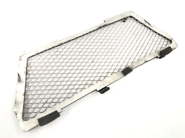 BMW R 1150 GS R21 [2002] - Panel protector de rejilla del radiador en la parte delantera