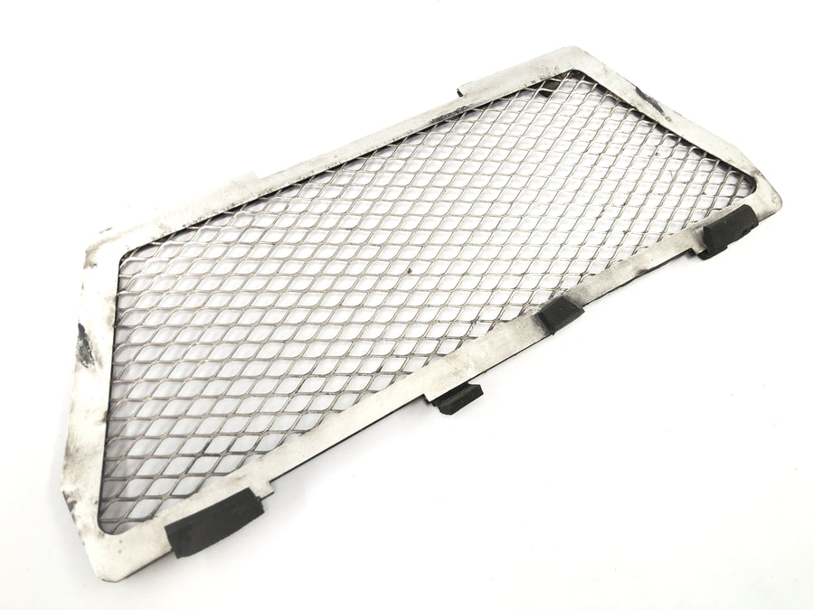 BMW R 1150 GS R21 [2002] - Panel protector de rejilla del radiador en la parte delantera