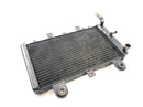 Triumph Tiger 955i 709EN [2003] - Sistema de refrigeración del radiador por agua-2