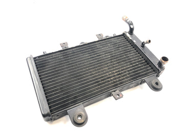Triumph Tiger 955i 709EN [2003] - Sistema de refrigeración del radiador por agua - 0