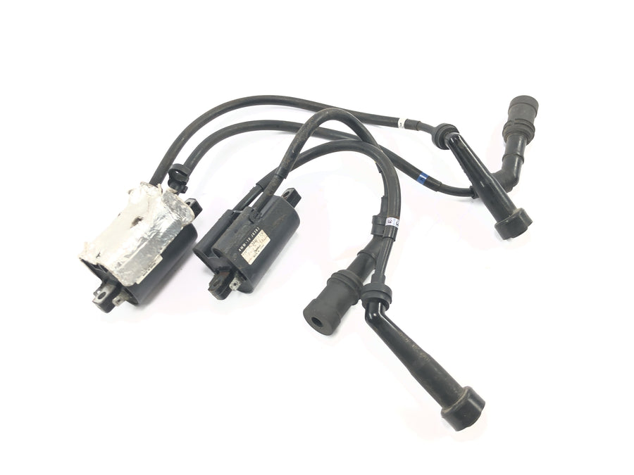 Yamaha XV 1600 Wild Star VP08 [2002] - Par de bobinas de encendido bobina de encendido cable de encendido sistema de encendido