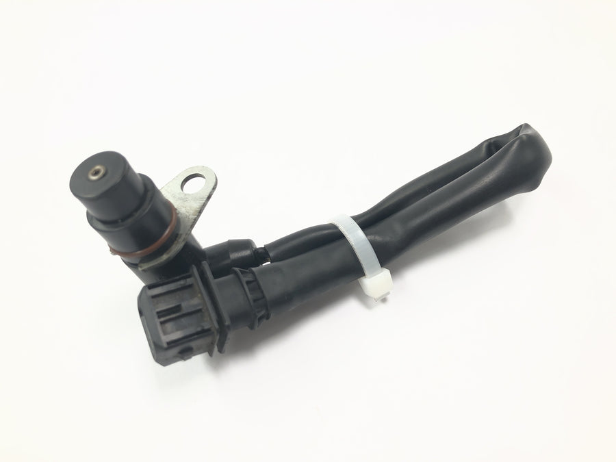 Triumph Tiger 955i 709EN [2003]-recogida