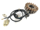 Yamaha XT 660 DM01 [2004] - Estator con alternador de recogida-4