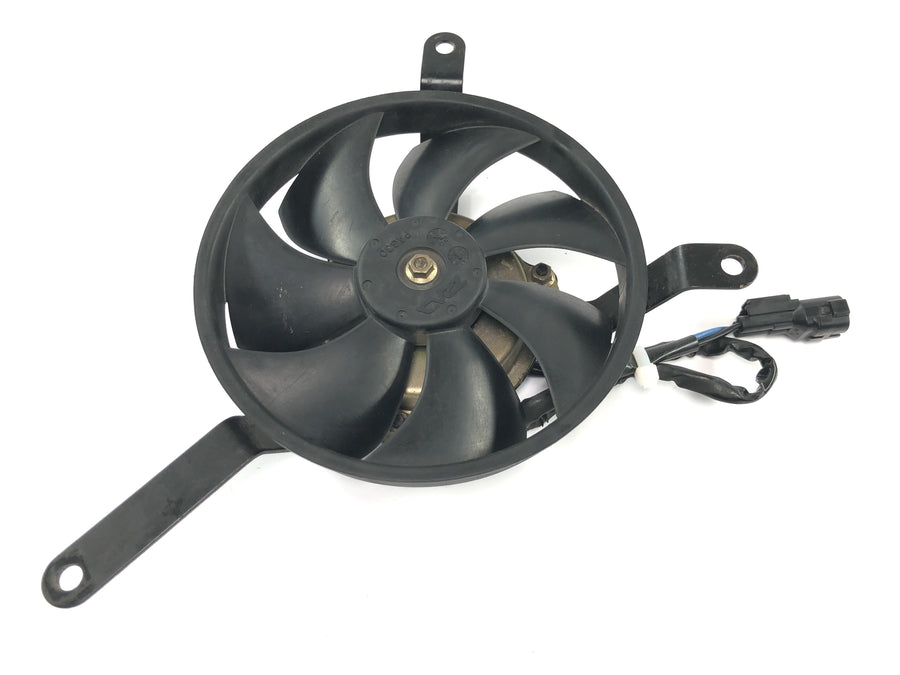 Honda CBR 600 RR PC37 [2004] - Ventilador radiador eléctrico ventilador delantero
