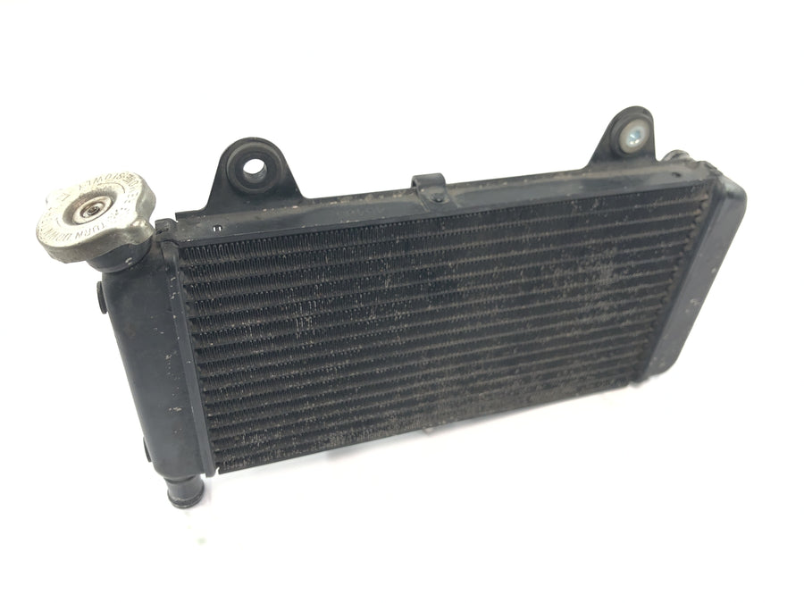 Yamaha MT 03 RM02 [2007] - Radiador enfriador de agua enfriador del motor radiador del sistema de refrigeración