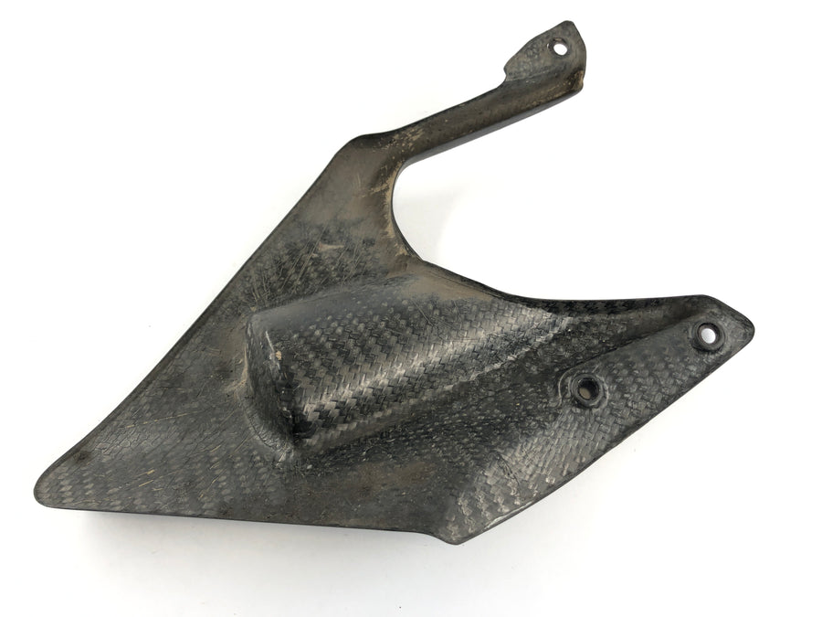 Ducati 1098 S H7 [2009] - Carbon de cubierta de la rueda trasera