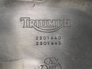 Triumph Speed ​​Triple T509 [1998] - Banqueta del asiento del conductor-3