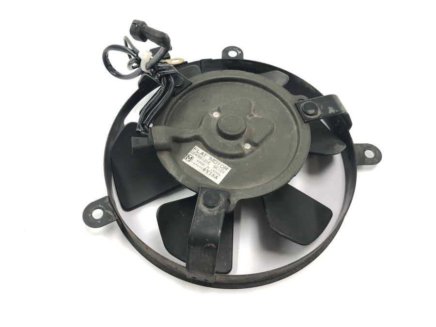 Honda CBR 900 RR Fireblade SC33 [2000] - Ventilador eléctrico de rueda de ventilador de radiador