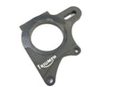 Triumph Daytona 955i T595 [1999] - Placa de anclaje de freno-1