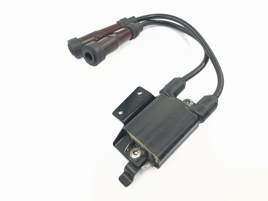 Triumph Bonneville T100 986MF [2012] - Unidad de encendido del módulo de encendido de bobina de encendido con cable y conector de bujía