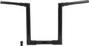 harley davidson fltruse [MARCA BURLY] – Jason Lenker-1