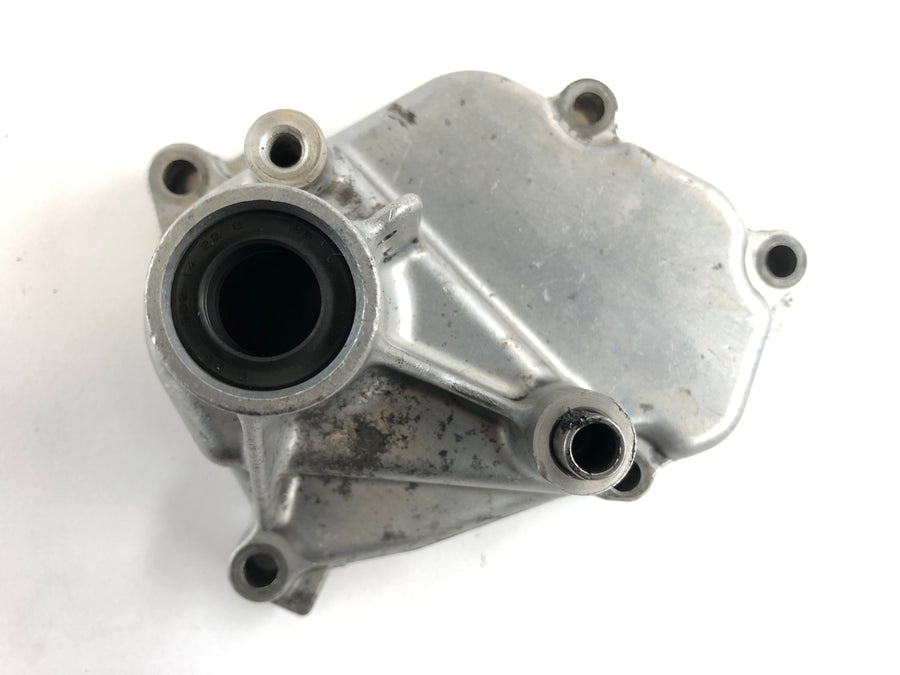 Suzuki DL 1000 V -strom [2006] - Tapa del eje de cambio de tapa del motor