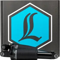 Harley-Davidson FLHTCUTGSE 1923 Tri Glide CVO 117 [2022] - LUFT-Federung für M-Eight Trike – Bild 6