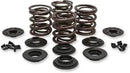 Harley Davidson Flfb [KIBBLEWHITE] - Kit de resorte de válvula de repuesto OEM
