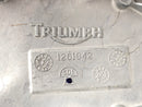 Triumph Thruxton 900 [2004] - Cubierta del motor de la cubierta puntual-4