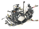 Ducati Multistrada 1000 DS [2003] - Arnés de cableado Árbol de cable principal-2