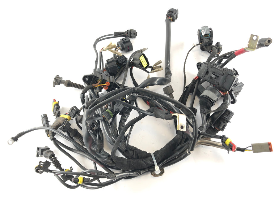 Ducati Multistrada 1000 DS [2003] - Arnés de cableado Árbol de cable principal