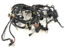 Aprilia RSV 1000 RR Factory [2009] - Arnés de cableado-2