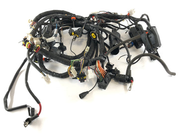 Aprilia RSV 1000 RR Factory [2009] - Arnés de cableado - 0