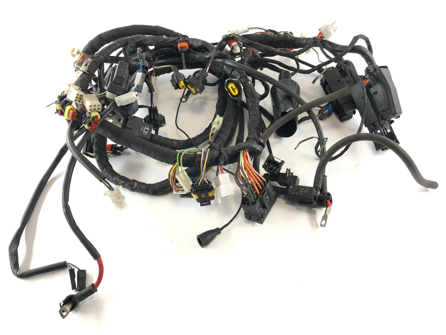 Aprilia RSV 1000 RR Factory [2009] - Arnés de cableado