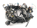 Moto Guzzi Norge 1200 LP [2006] - Arnés de cableado-1