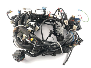 Moto Guzzi Norge 1200 LP [2006] - Arnés de cableado