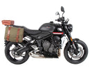 Triumph Trident 660 [2025] - portador lateral de bojo C-1