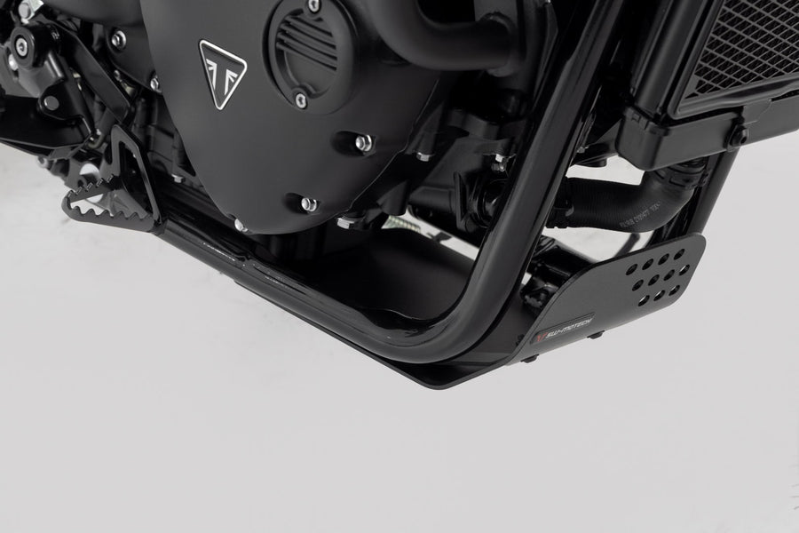 Triumph Bonneville 1200 T 120 Gold Line [2022-2023] - barra de protección del motor - foto 3