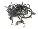 Can en el Spyder SM5 [2009] - Arnés de cableado-3