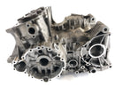 Triumph Daytona 955i T595 [2001] - Alcicultor de motor con cilindro y arbustos en funcionamiento-6