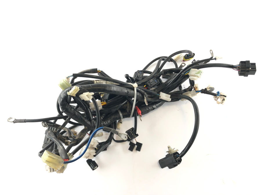 SWM SM 125 R [2017] - Arnés de cableado