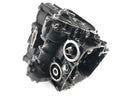 Triumph Street Triple R 675 D67LD [2008] - Motor Hoiling with Pistons-8