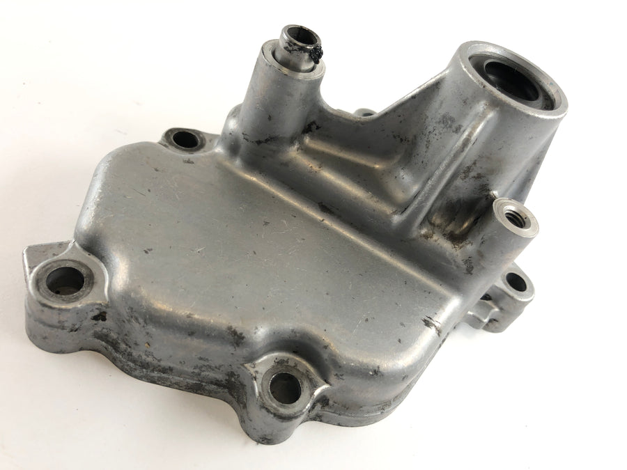 Suzuki DL 1000 V -strom [2006] - Tapa del eje de cambio de tapa del motor