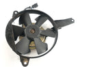 Yamaha YZF R6 RJ03 [2000] - Fan Fan Fan-1
