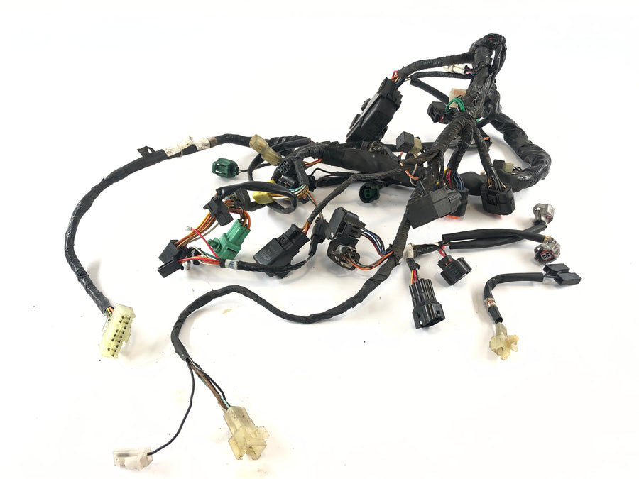 Suzuki DL 1000 V -strom [2006] - Arnés de cableado