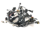 Ducati Multistrada 1000 DS [2003] - Arnés de cableado Árbol de cable principal-4