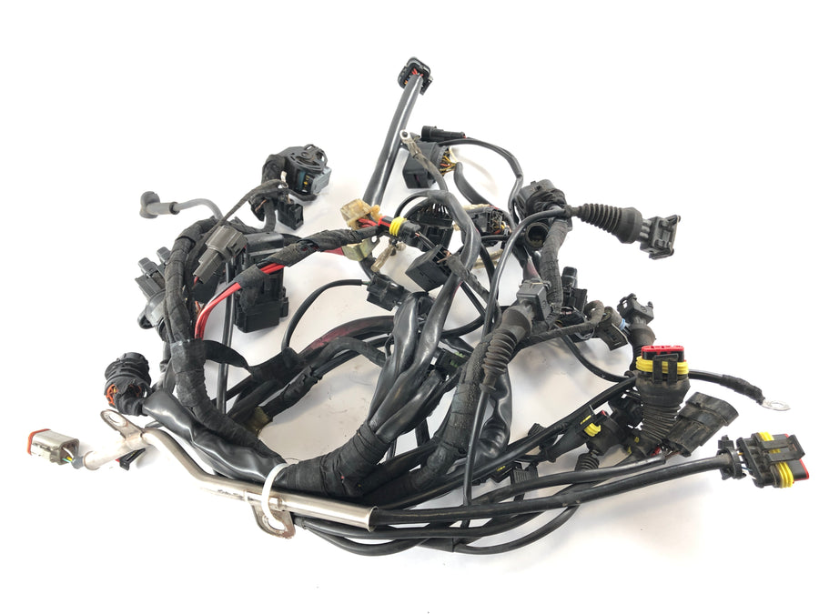 Ducati Multistrada 1000 DS [2003] - Arnés de cableado Árbol de cable principal