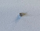 Rolex Cal. 2030 [DateJust 26 mm] - 54414 Tornillo para el puente de anclaje-2