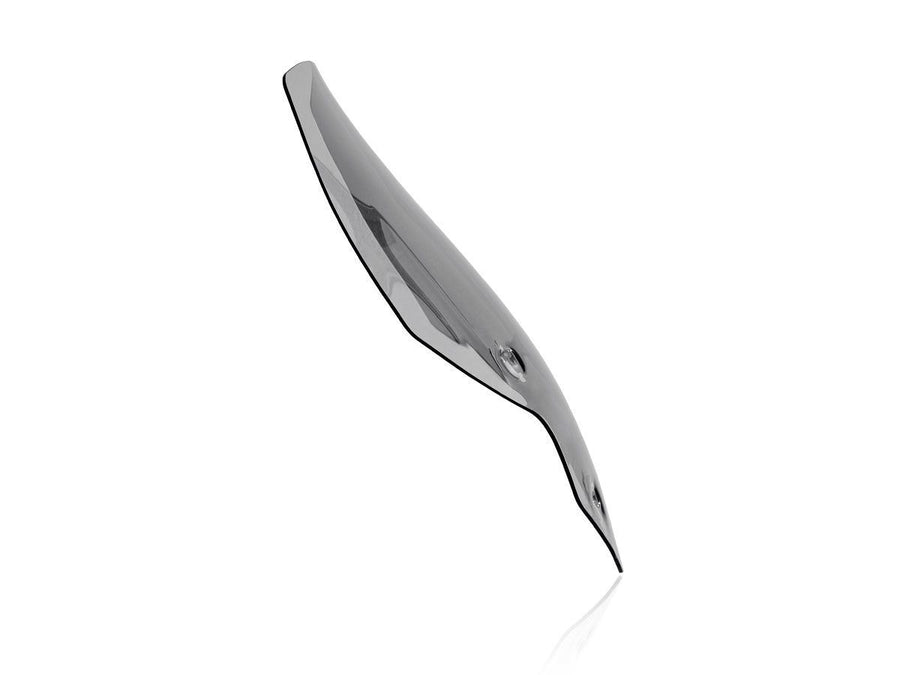Triumph Tiger 900 GT [2020-2026] - Touring Windschild – Ansicht 9