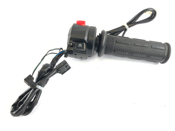 Suzuki Bandit GSF 650 S WVB5 [2005] - Interruptor de manillar en el mango de gas derecho