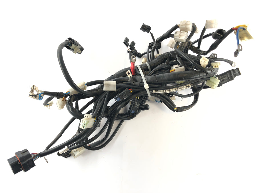 SWM SM 125 R [2017] - Arnés de cableado