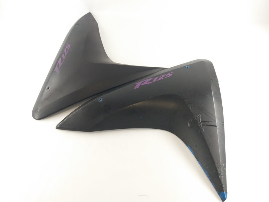 Yamaha YZF 125 RE06 [2011] - parte del lado de la portada