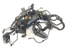 BMW F 800 ST [2006] - Arnés de cableado-1